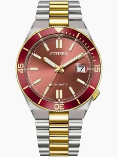 CITIZEN TSUYOSA SHORE NJ0234-58X