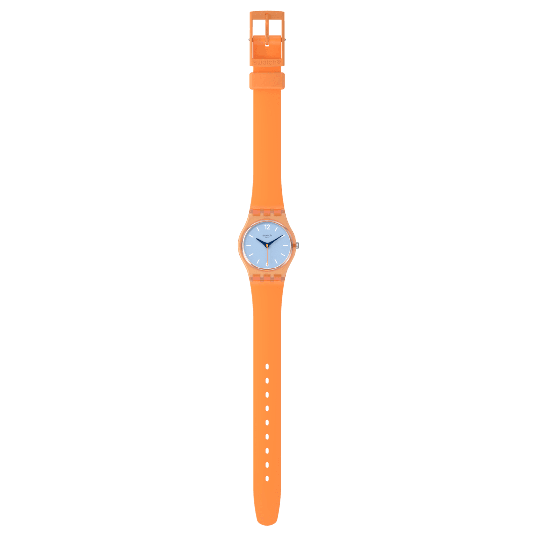 SWATCH VIEW FROM A MESA LO116